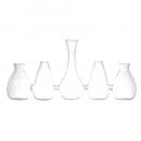 GLASS VASE ''SPARAXIS PARADE'' LineB ガラス 花瓶 高さ15
