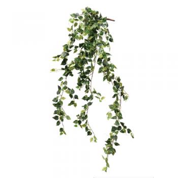 観葉植物 ポトス グリーン インテリア 飾り 室内 装飾 高さ160cm 通販