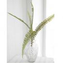 テリダファイト 6個セット おしゃれ ディスプレイ フェイクプランツ 造花 植物 合成樹脂