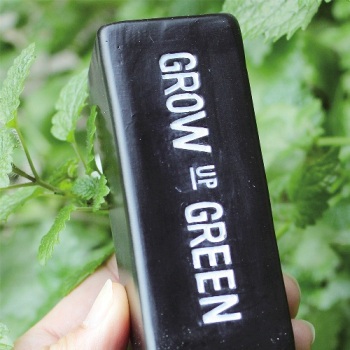 栄養剤カバー おしゃれ 雑貨 緑 グリーン アンプル型 小物 植物 小窓付き 4個セット