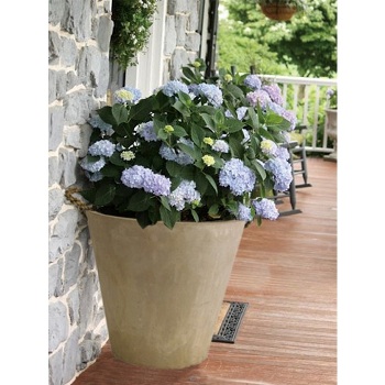 プランター おしゃれ 雑貨 大型 植物 ガーデニング  Mサイズ ベランダ ディスプレイ オーバル型