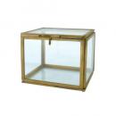 ブラスガラスボックスA ガラス雑貨 植物 ディスプレイ おしゃれ 小物入れ テラリウム