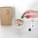 SPICE ヒノキアロマ3点セット(ヒノキオイル・ヒノキチップ・ドームガラスベース) 高さ14.5