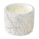 SPICE リーフカップアロマキャンドル ベルガモット&ジャスミン 350g 2個セット