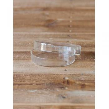 4インチシャーレ ガラス 皿 小物入れ ガラスケース おしゃれ 英字 透明