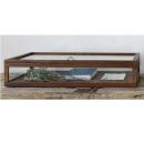 WOODフレーム ショーケース LOW (L) ガラス アンティーク調 ディスプレイ 幅75