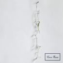 GLASS ライン ハンギング ボトル S/4 ガラス 花瓶 クリア 高さ7.5~11