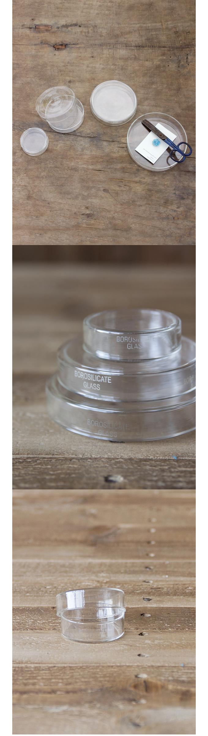 “2インチシャーレ”