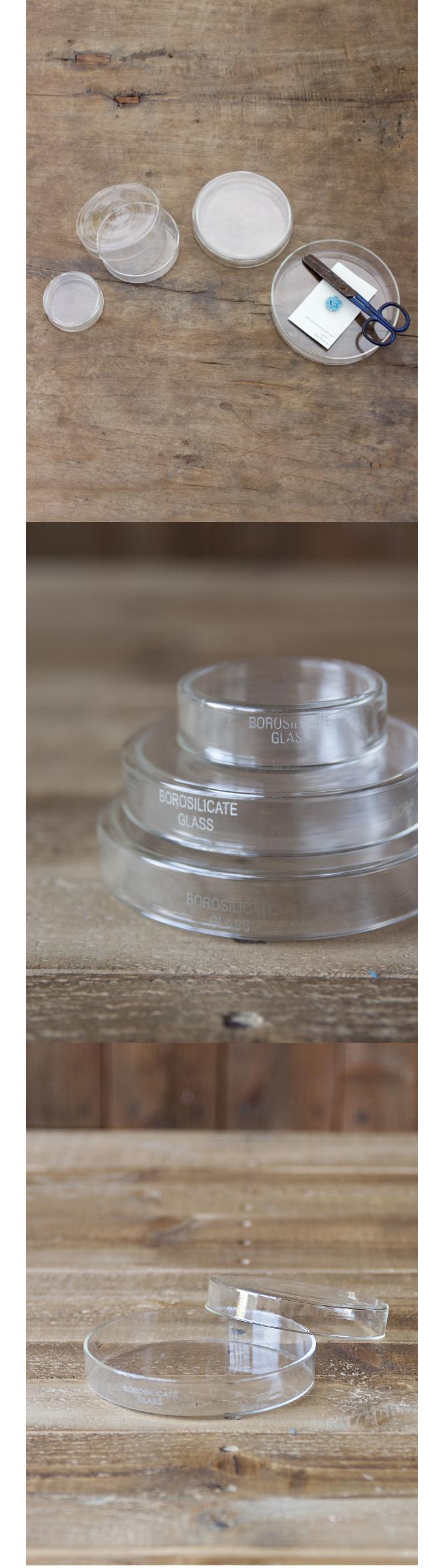 “5インチシャーレ”