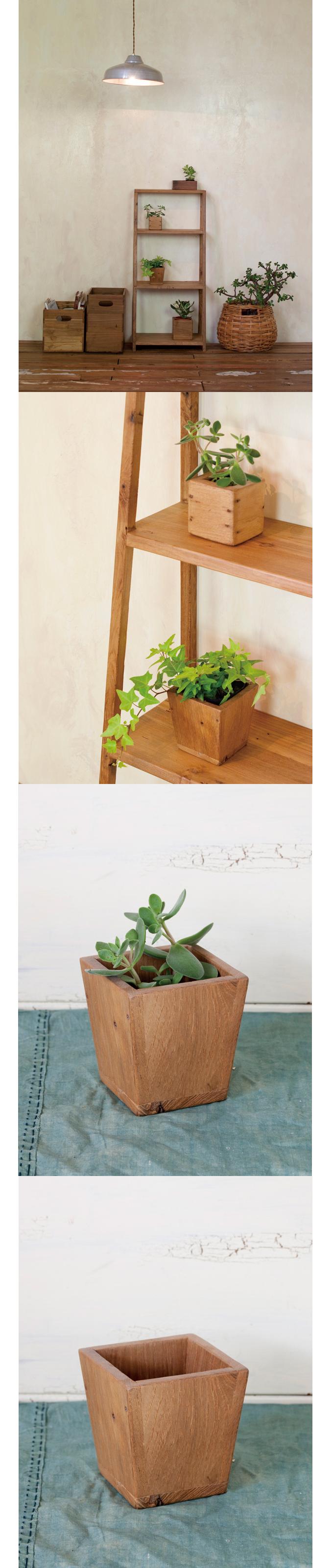 “チークミニポット”