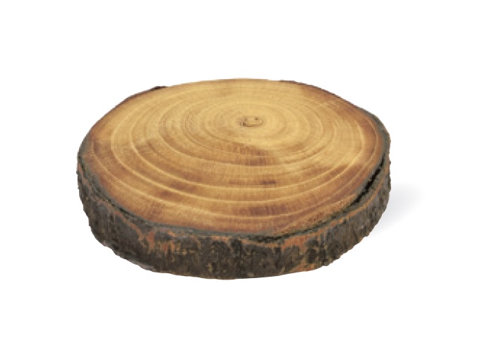 “ウッドコースターS