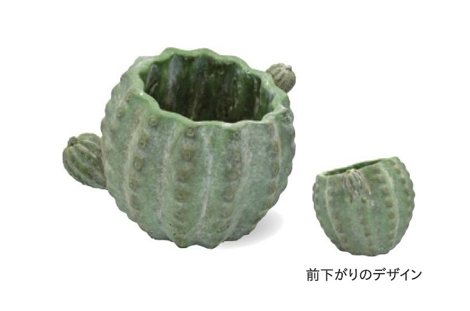 “シーモカクタスポット”