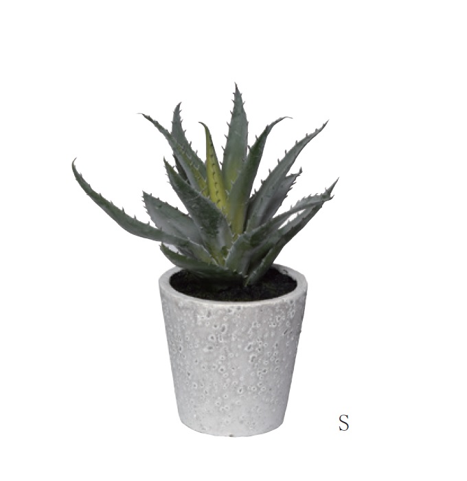 “アートプランツアロエポットS”