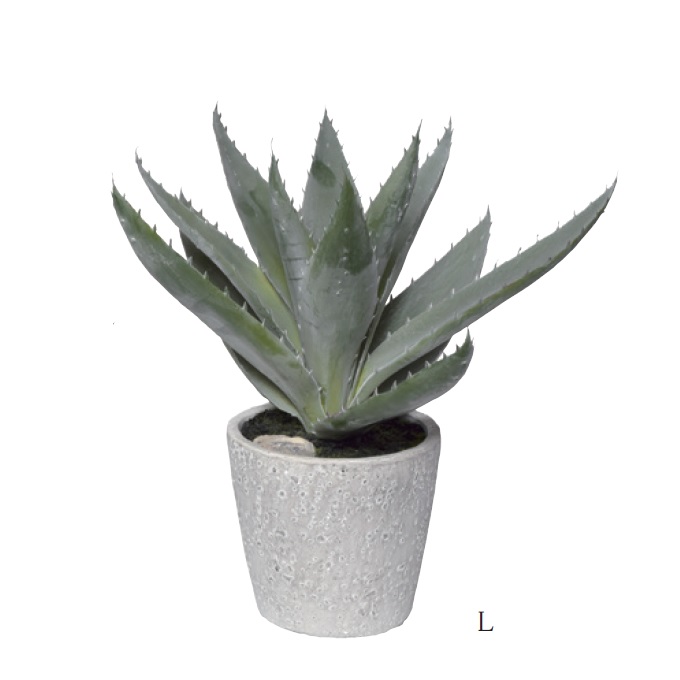 “アートプランツアロエポットL”