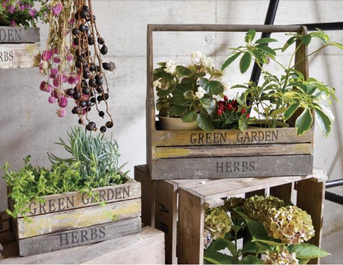 “グリーンガーデンボックス”