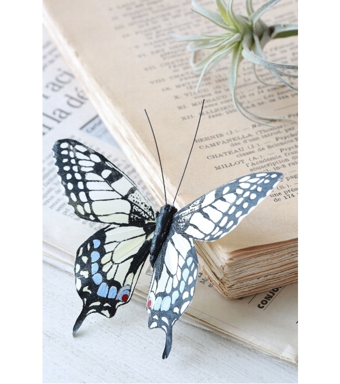 “クレム・スワロウテイル”