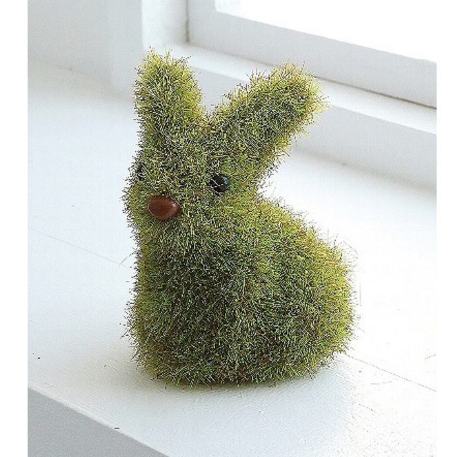 “モスラビット