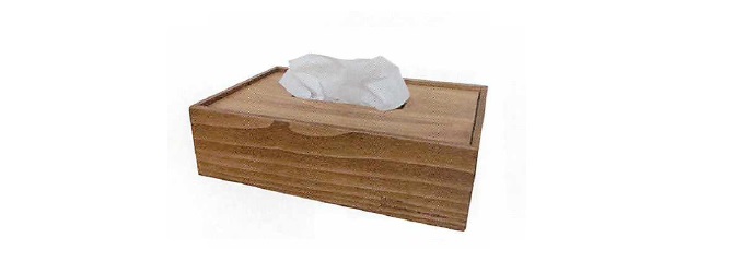 パインティッシュボックス