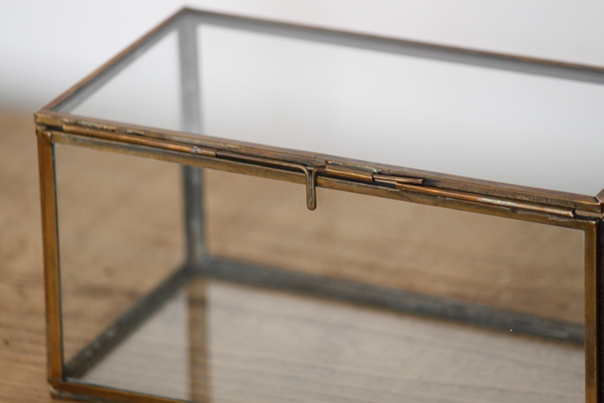 ディスプレイ おしゃれ 小物入れ テラリウム