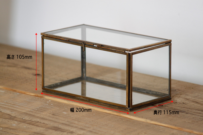 ブラスガラスボックスB ガラス雑貨 植物