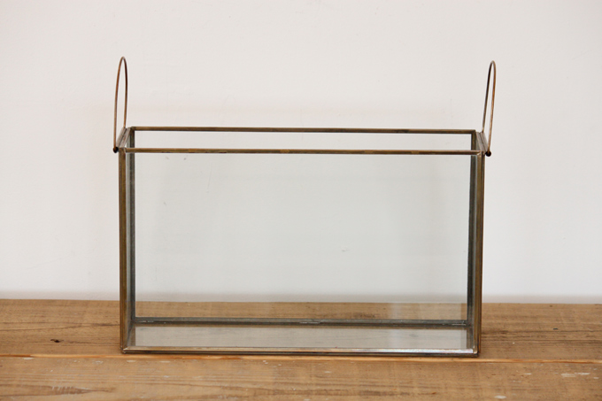 ブラスガラスケースL ガラス雑貨 植物