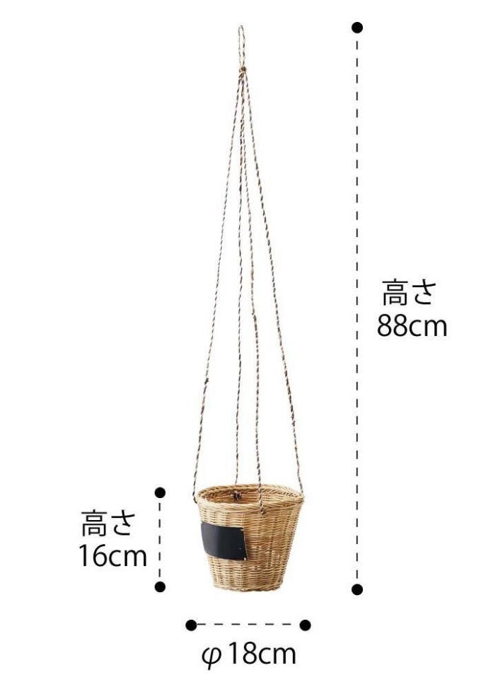 “バスケット,鉢カバー,観葉植物”