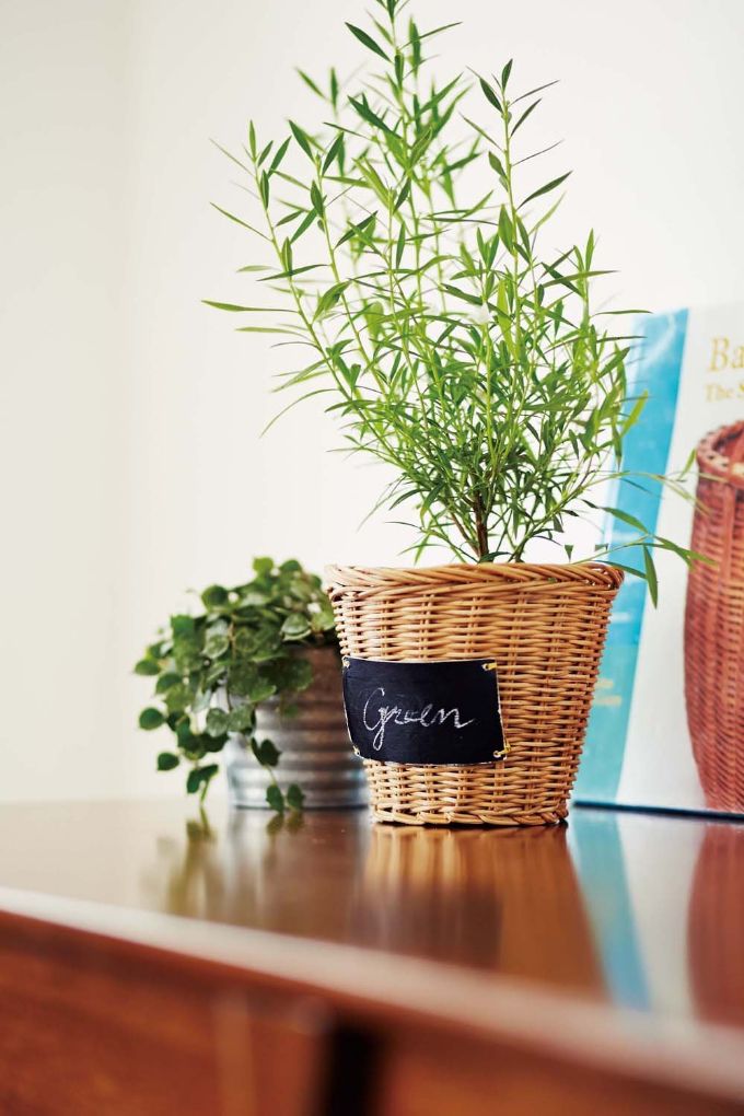 “バスケット,丸型,観葉植物”