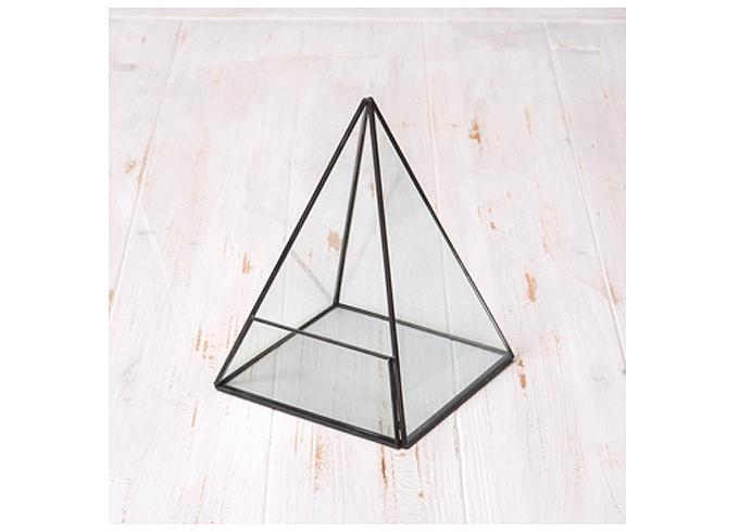 “テラリウムピラミッド”