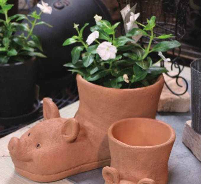 “Pig